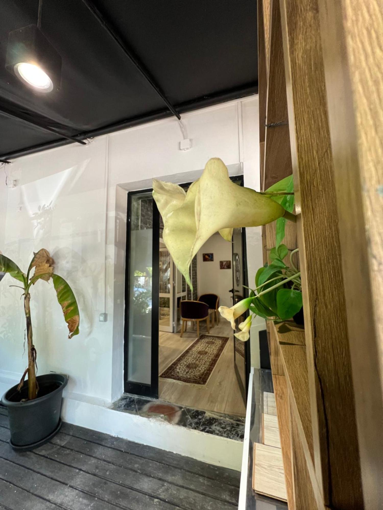 Destinacion Central Room Тирана Екстериор снимка